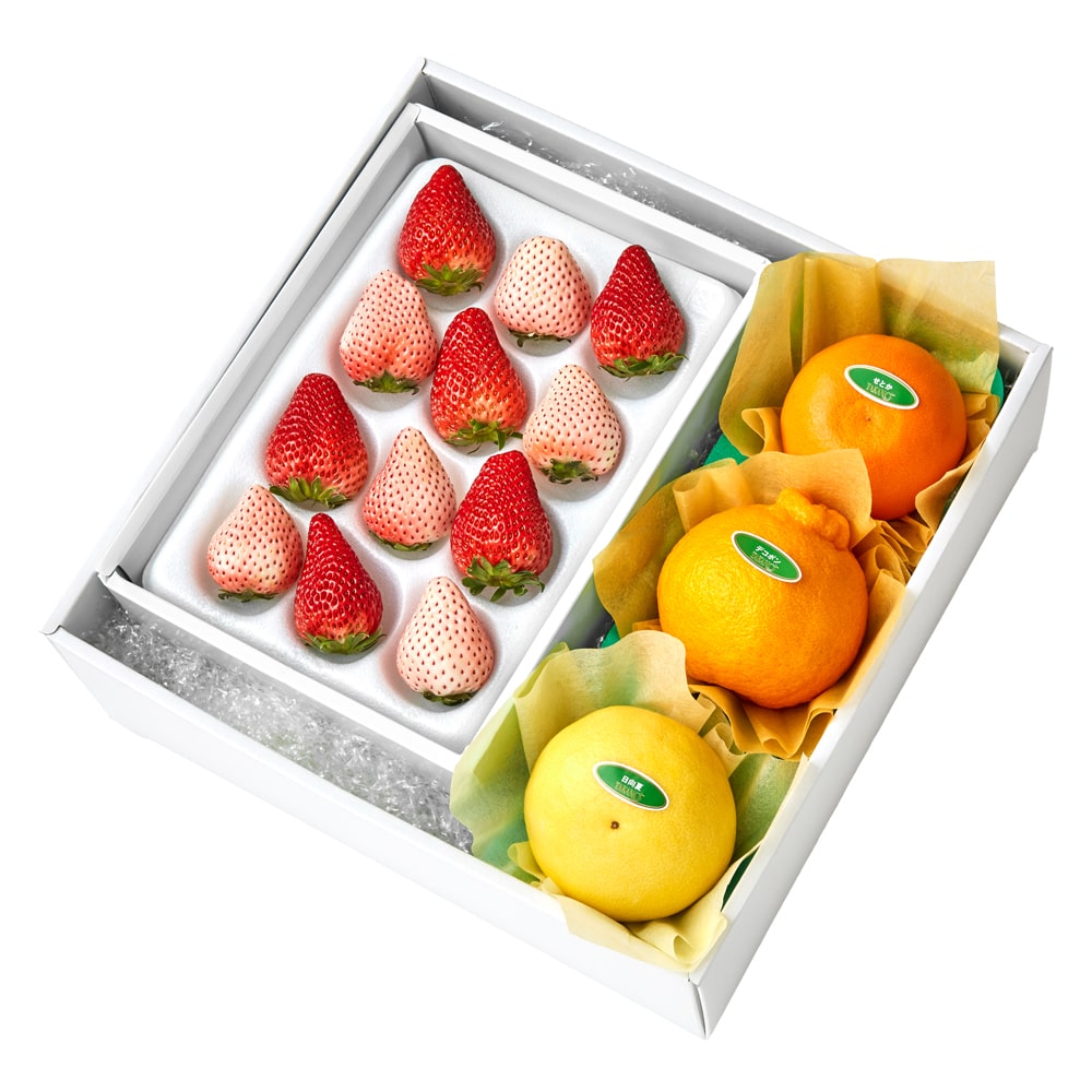 新宿高野 紅白いちご12＆旬果B #29100