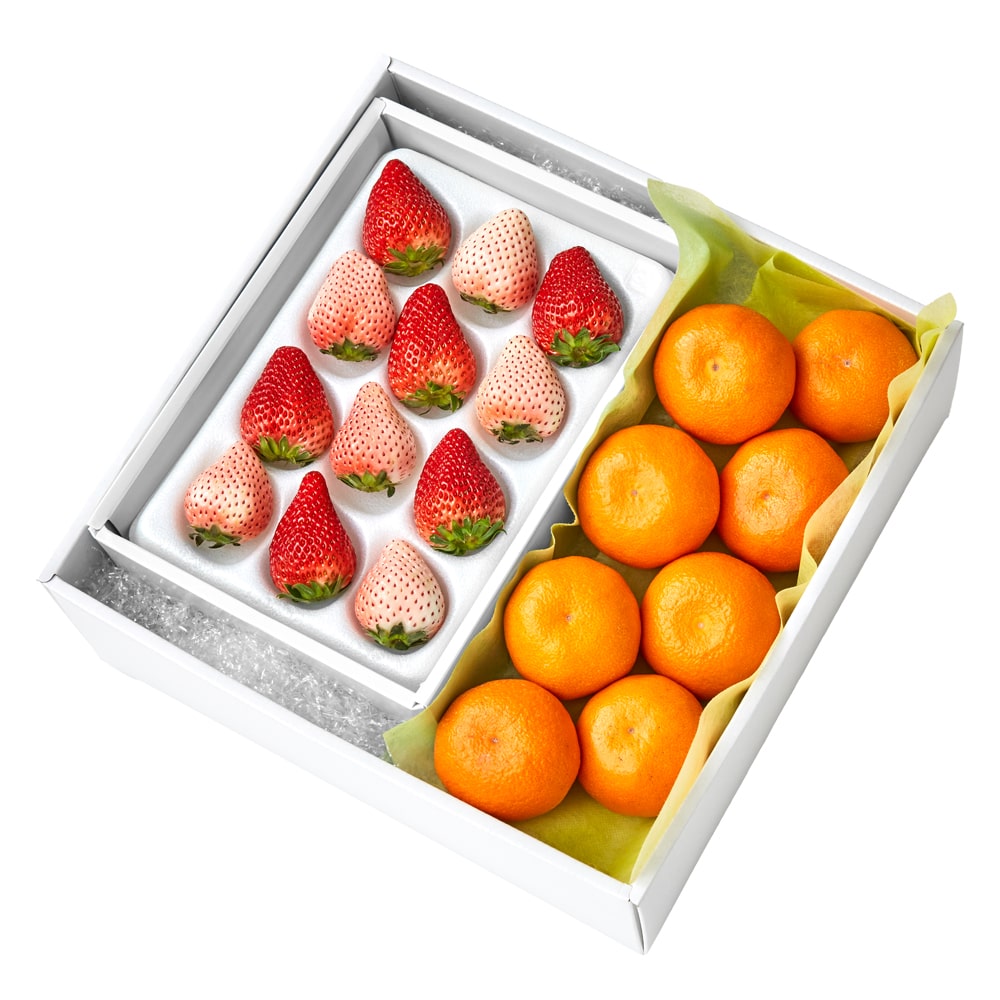 新宿高野 紅白いちご12＆旬果D #29100