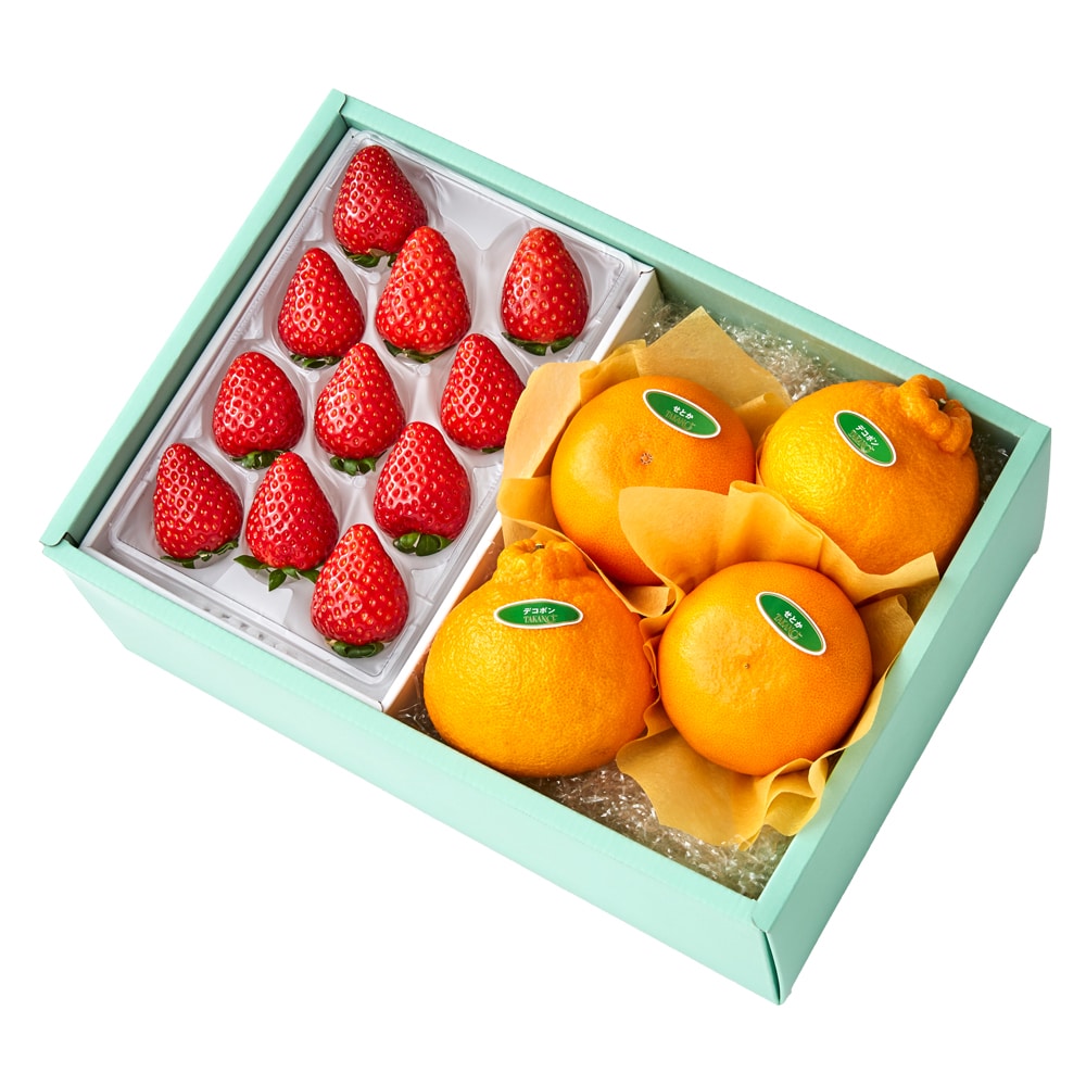 新宿高野 古都華M＆旬果A #29100