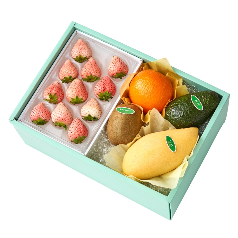 新宿高野 コットンベリーM＆旬果H #29100