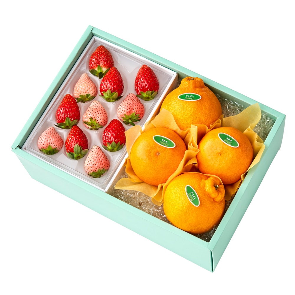 新宿高野 奈良苺食べ比べM＆旬果A #29100