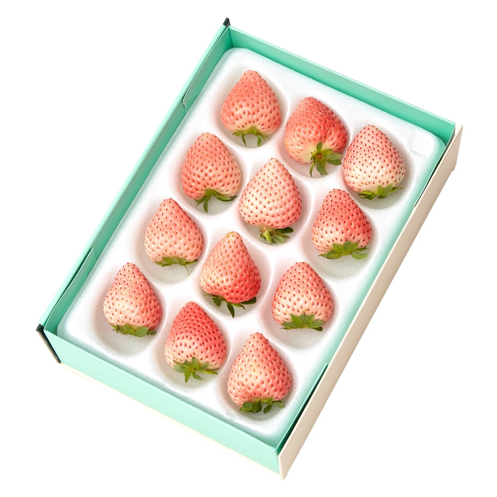 新宿高野 コットンベリー12EA #29100