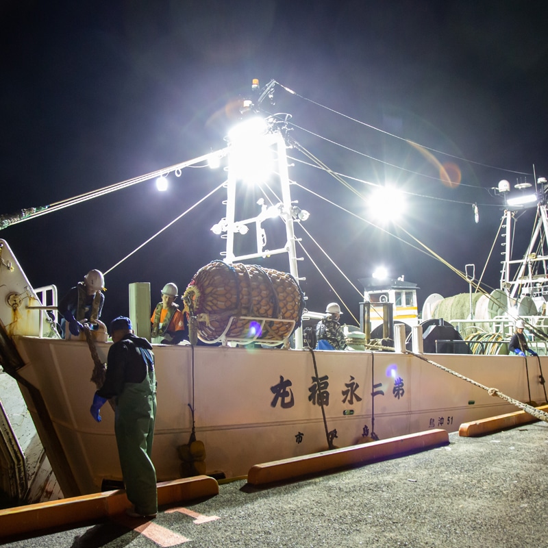 【冷凍】香箱ガニ(セコガニ)甲羅盛 送料込み