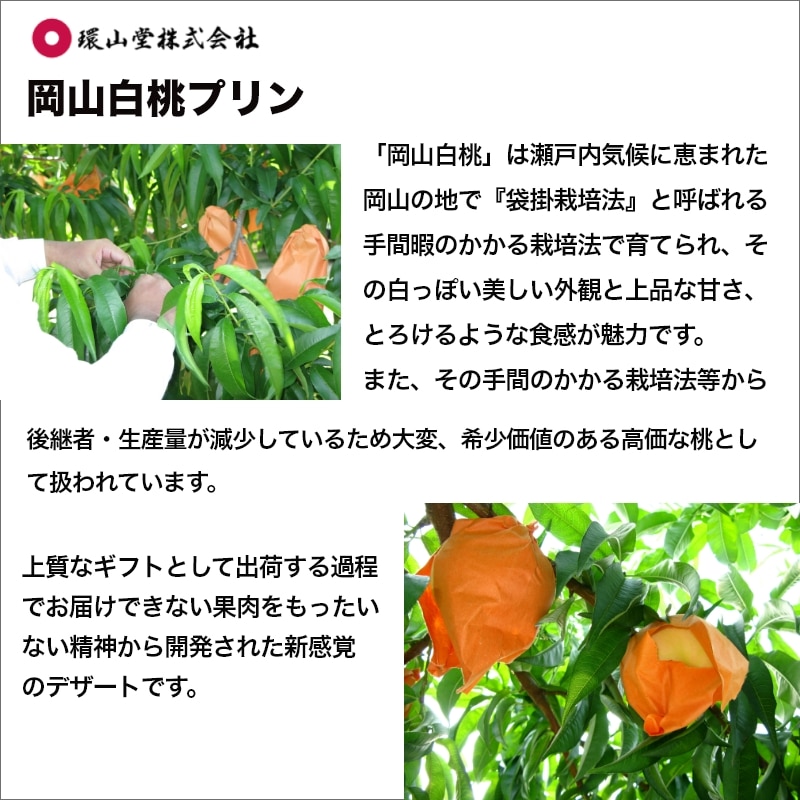 お中元 2026岡山白桃プリン 送料込み