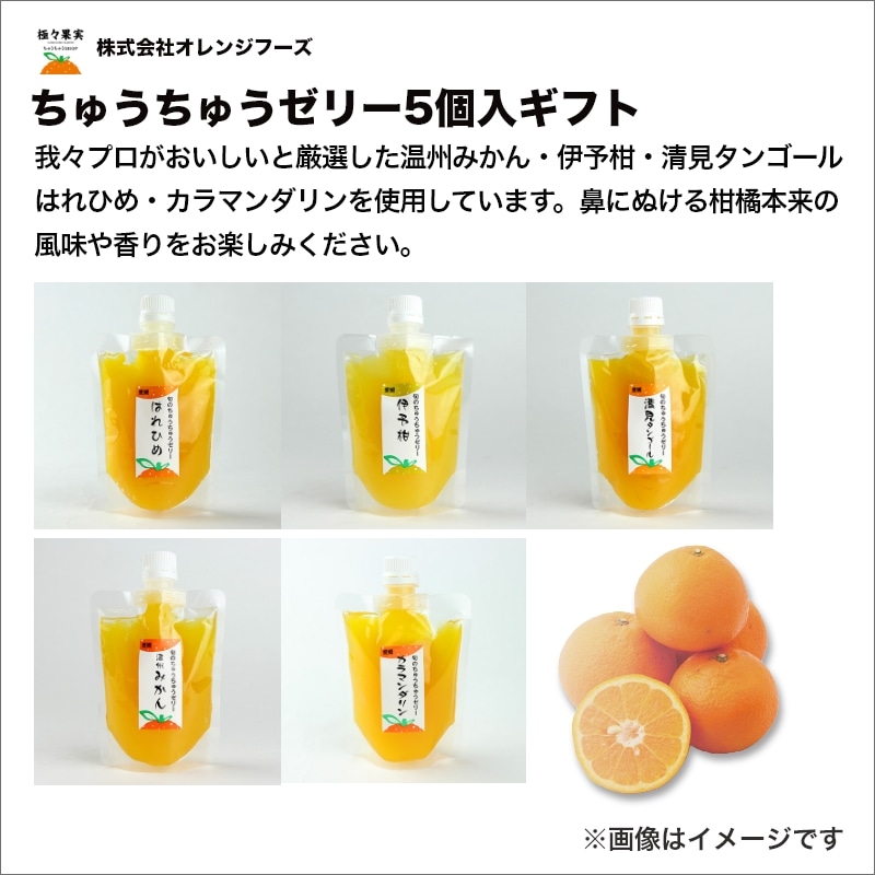 お中元 2026ちゅうちゅうゼリー5個入ギフト 送料込み: 郵便局物販