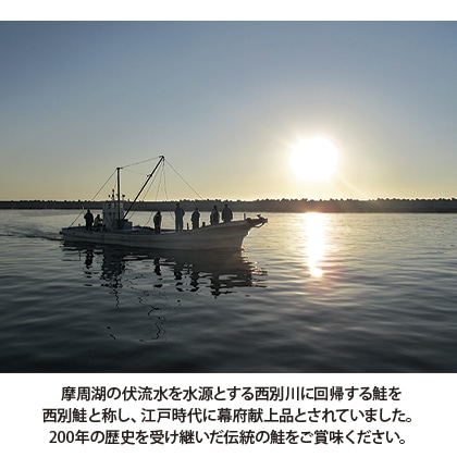 献上西別鮭 切身姿盛 送料込み