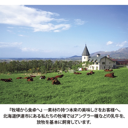 2個入プリン 3本セット 送料込み