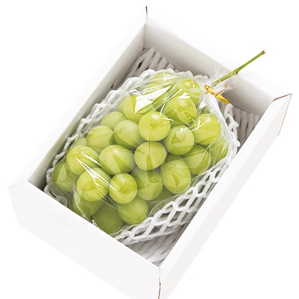 シャインマスカット B 送料込み