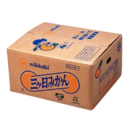 三ヶ日みかん 4kg 送料込み