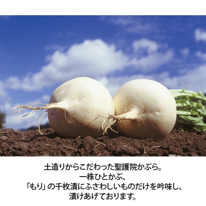 京都もり 漬けたてづくし 送料込み