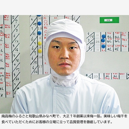 はちみつ入梅干「黄金漬」 450g 送料込み