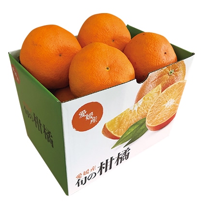 甘平(カンペイ) 1.4kg 送料込み