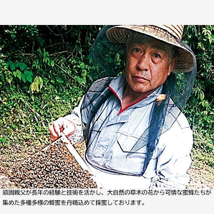 美甘養蜂園百花蜂蜜 550g 送料込み