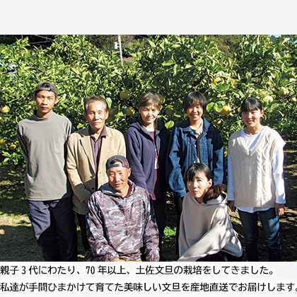 土佐文旦 贈答用 送料込み