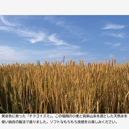 焼あごだしうどん(16食) 送料込み