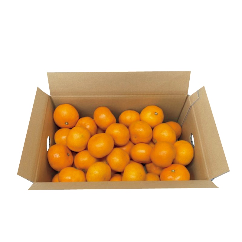 お歳暮 三ヶ日みかんB 冬ギフト 送料込み