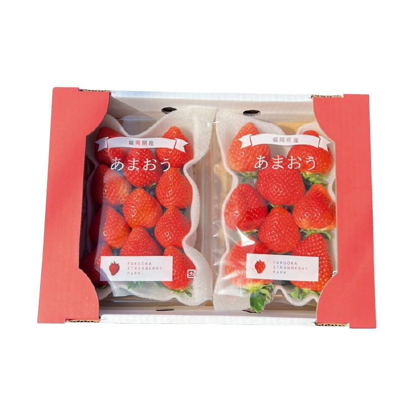 お歳暮 福岡県産特別栽培 朝採り「あまおう」苺ギフトセット 冬ギフト 送料込み