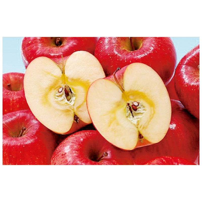 お歳暮 蜜入りサンふじ 5kg 冬ギフト 送料込み