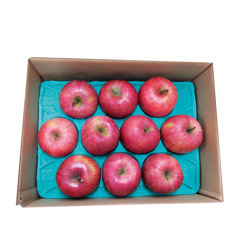 お歳暮 (糖度15度以上選果)JA秋田ふるさとサンふじ 冬ギフト 送料込み