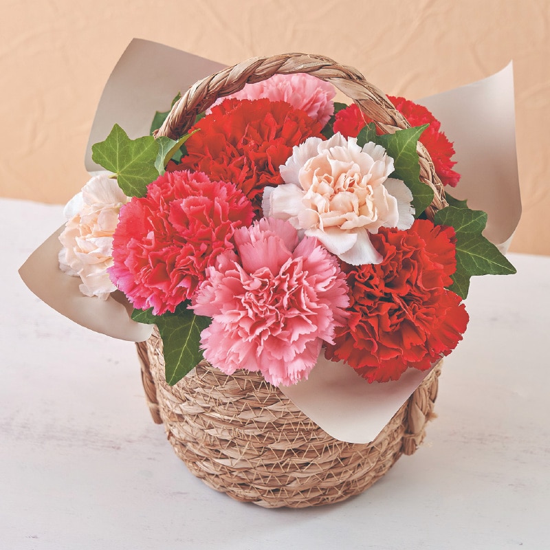 母の日 早割期間中!4/6(月)まで!【通常価格5,500円⇒4,950円】 アレンジメント「シャンドフルール」 送料込み