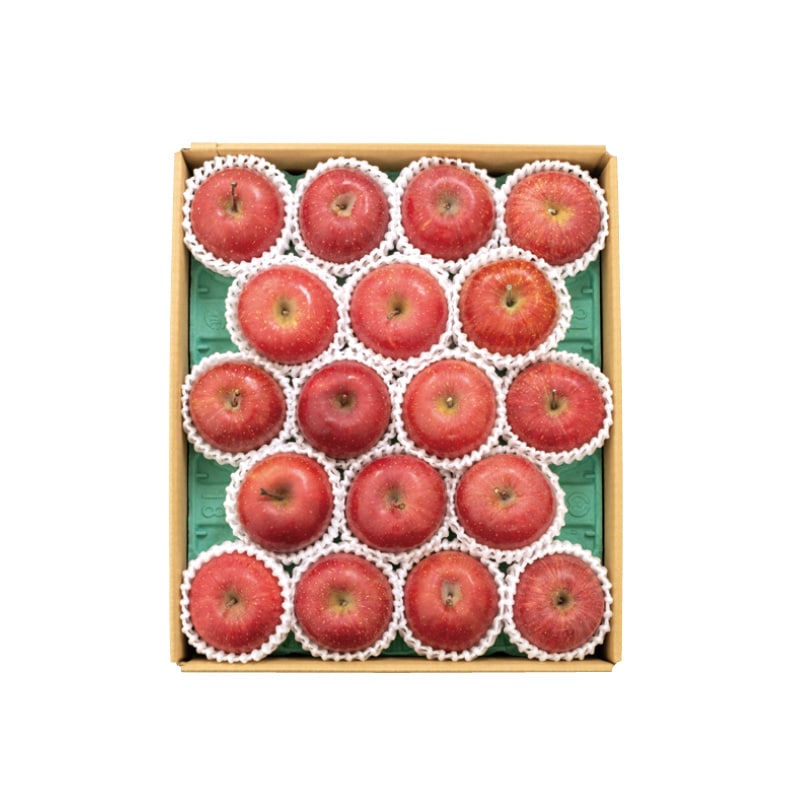 山形県産 朝日町のりんご4.5kg 送料込み