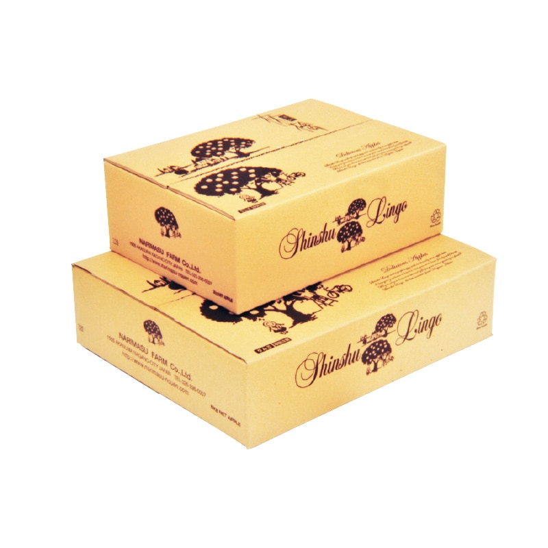 【ご贈答用】サンふじ 3kg 送料込み