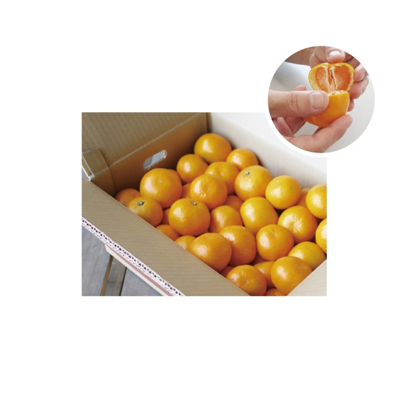 小さいミカン 「ひとしずく」(温州みかん) 4.5kg 送料込み