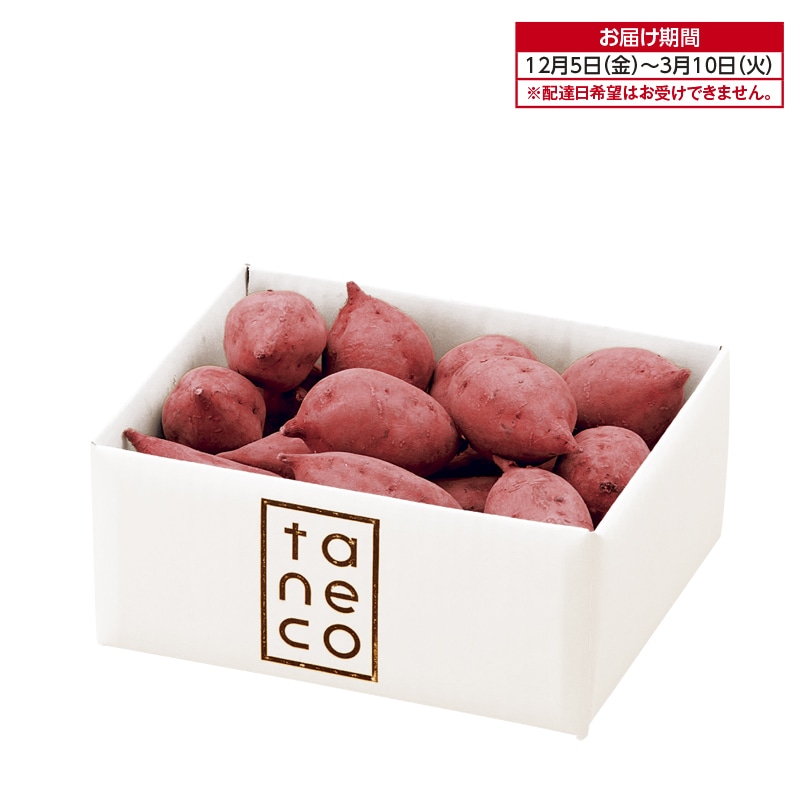 熟成 種子島安納いも(生いも)A 2kg 送料込み