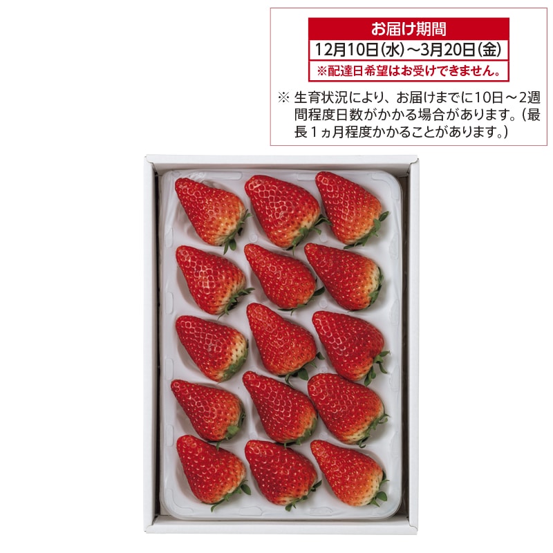 静岡県産 いちご「きらぴ香」 送料込み