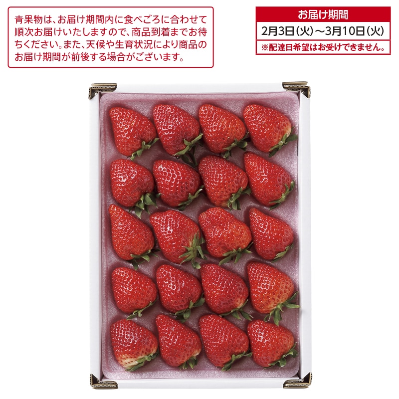 いちごさん 送料込み