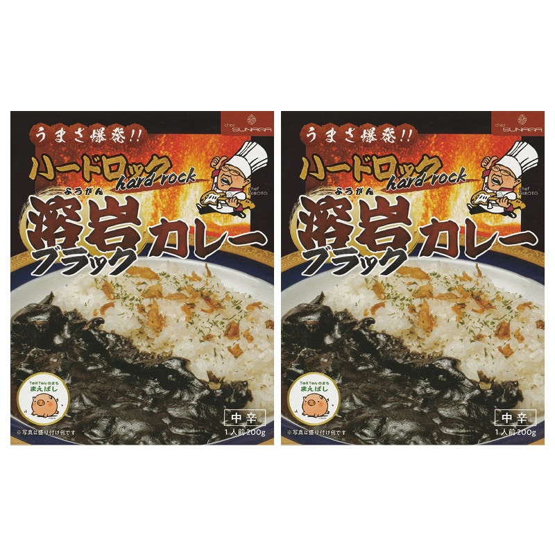 溶岩 ブラックカレー 2食 送料込み