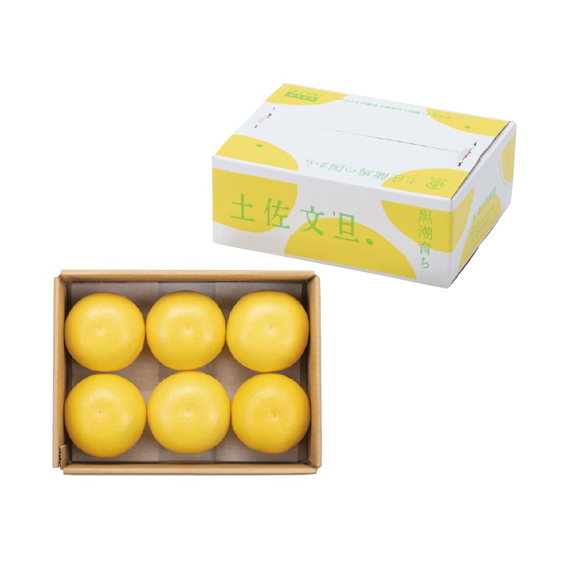 【贈答用】土佐文旦3.1kg 送料込み