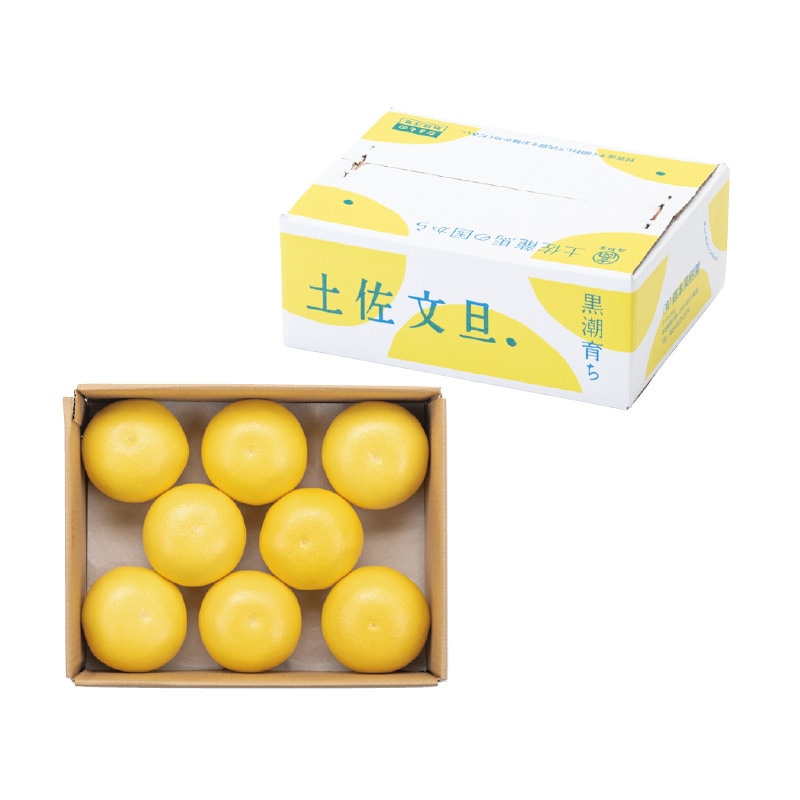 【家庭用】土佐文旦4kg 送料込み