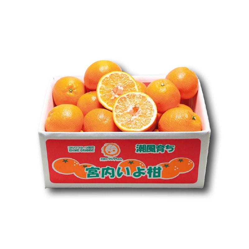 【家庭用】伊予柑4.5kg 送料込み