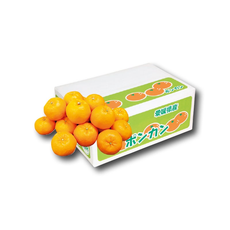 【家庭用】ポンカン4.5kg 送料込み