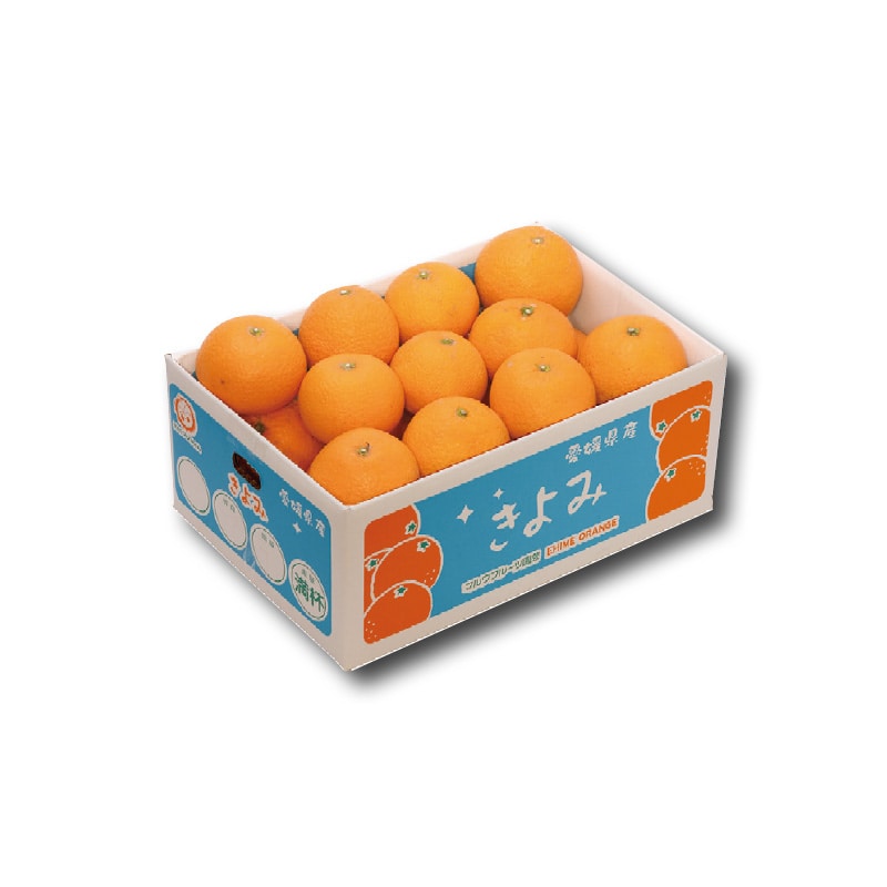 【家庭用】清見4.5kg 送料込み