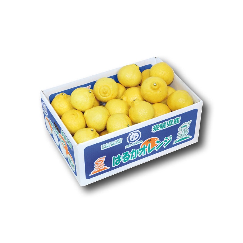 【家庭用】はるか4.5kg 送料込み