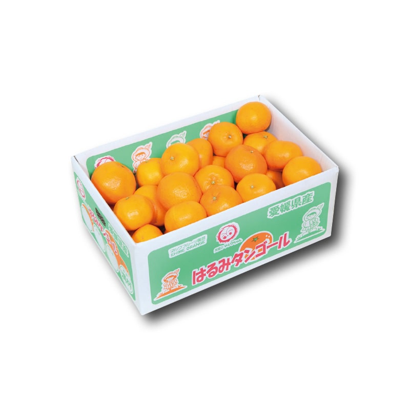 【家庭用】はるみ4.5kg 送料込み