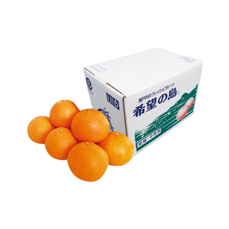 希望の島 中島まどんな 2kg 送料込み