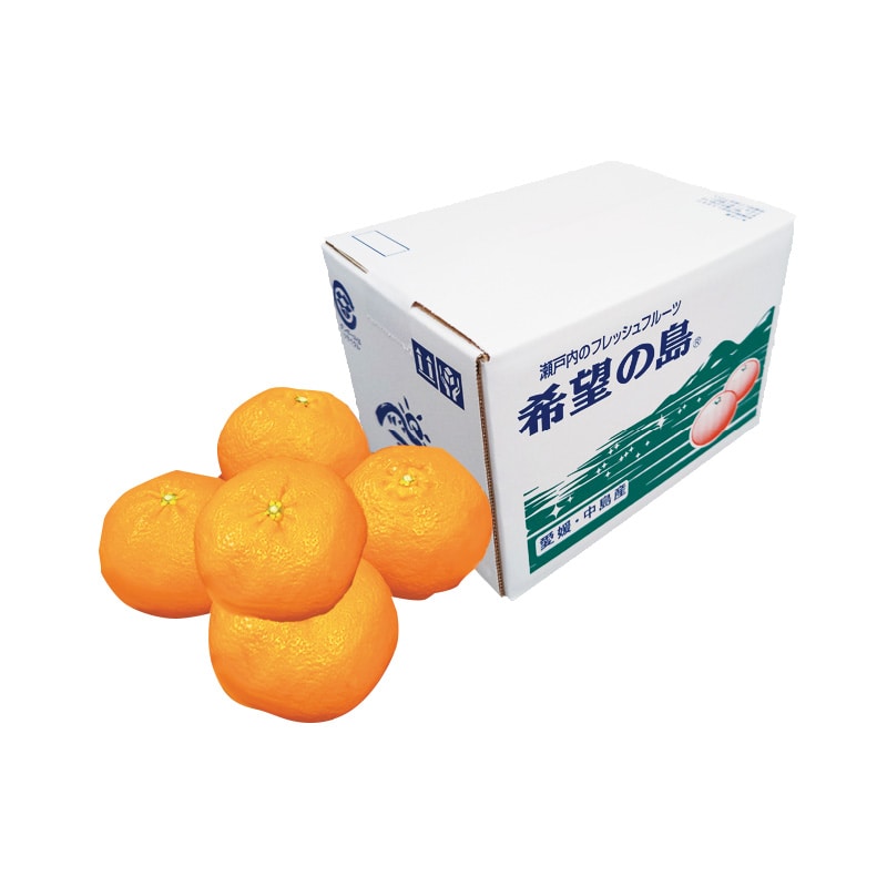 希望の島 甘平 2kg 送料込み