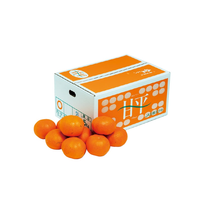 【家庭用】愛媛県産 甘平 5kg 送料込み