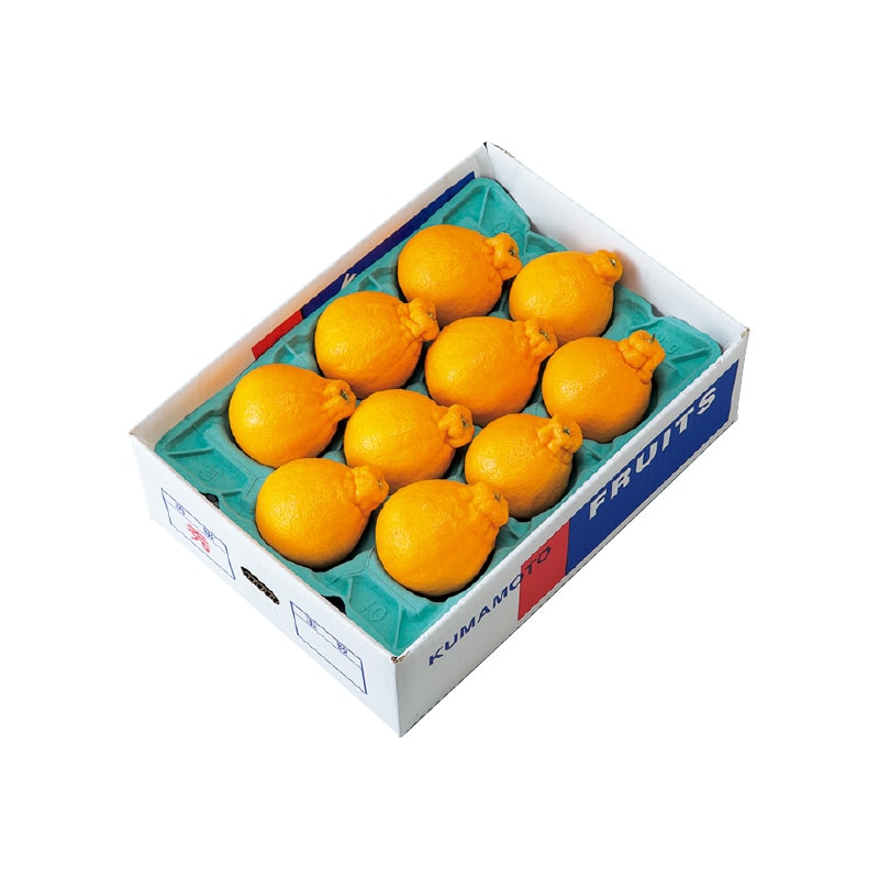 ハウスデコポン2.5kg 送料込み