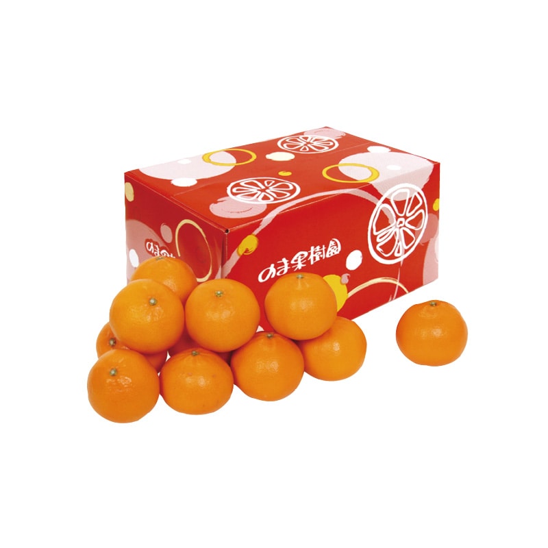 【家庭用】せとか3kg 送料込み