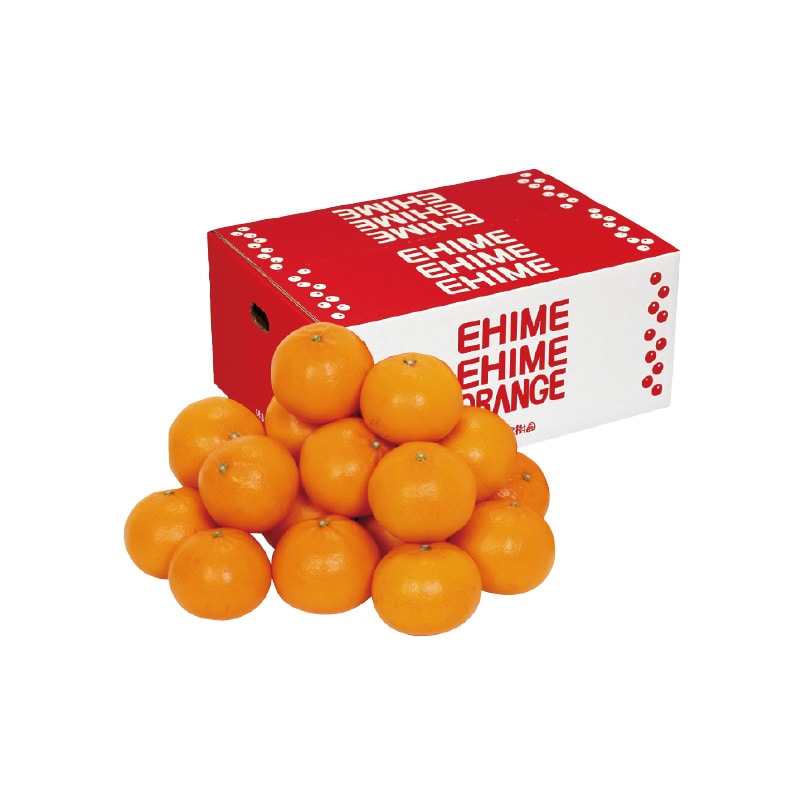 【家庭用】せとか4kg 送料込み