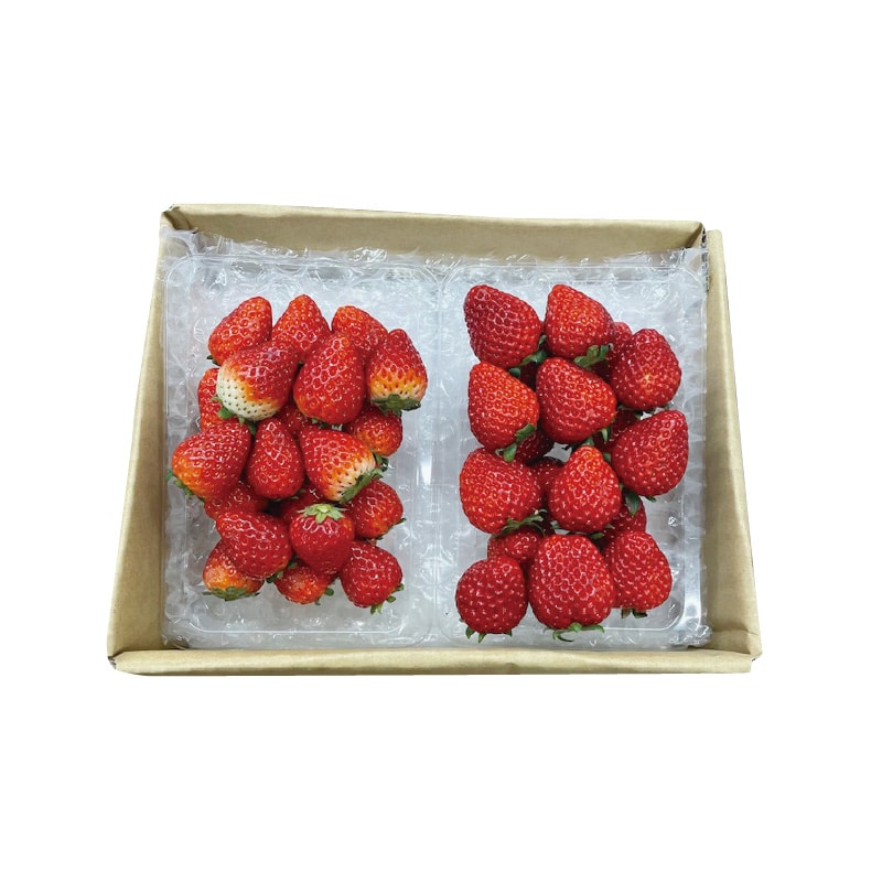 古都華(ことか) 送料込み