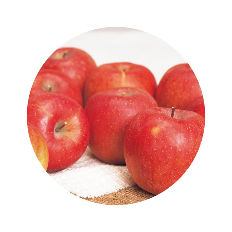 【家庭用】サンふじ10kg 送料込み