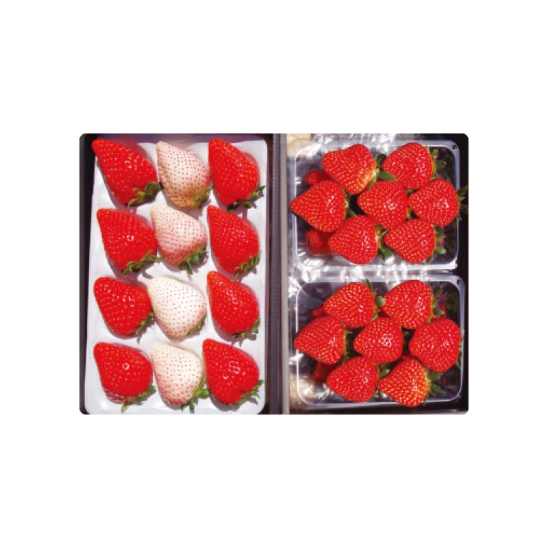 栃木のいちご4品種 食べ比べセット 送料込み