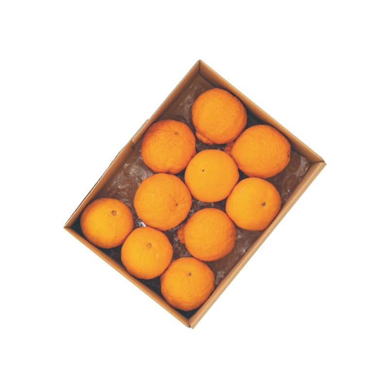 【糖度14度以上選果】高糖度不知火濃媛(こいひめ)2kg 送料込み