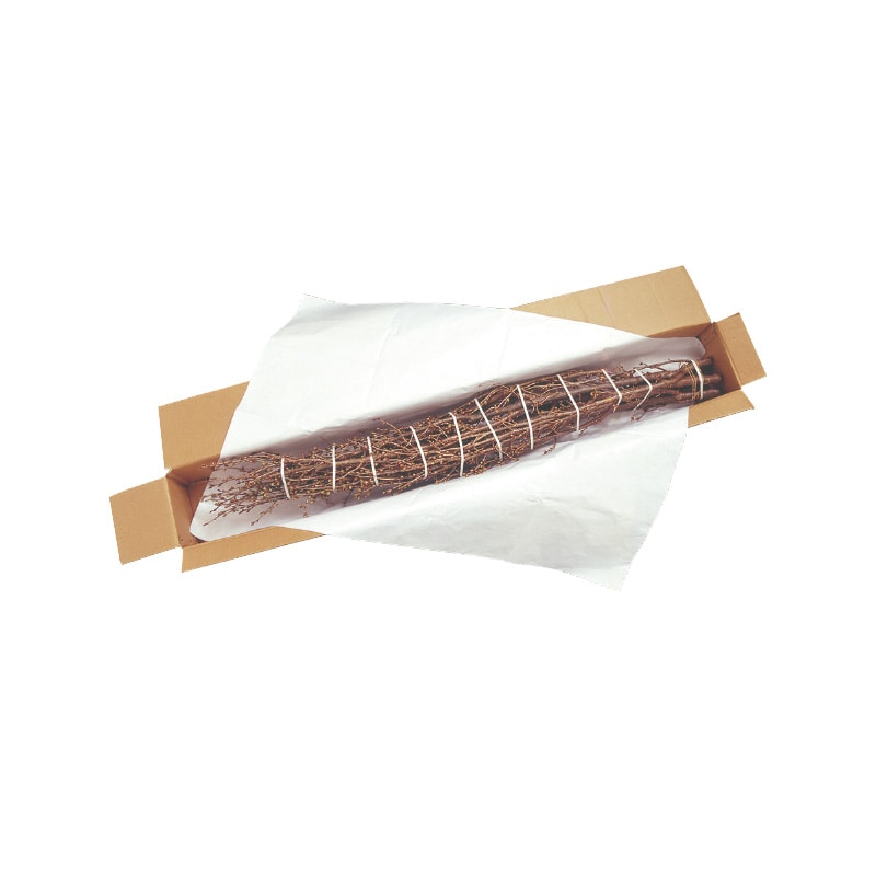 啓翁桜 送料込み