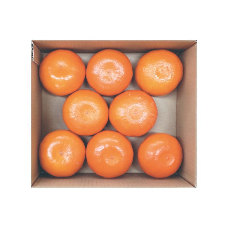 JAからつ はまさき 1.7kg 送料込み